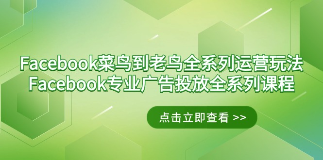 （9064期）Facebook-菜鸟到老鸟全系列运营玩法+Facebook-专业广告投放全系列课程