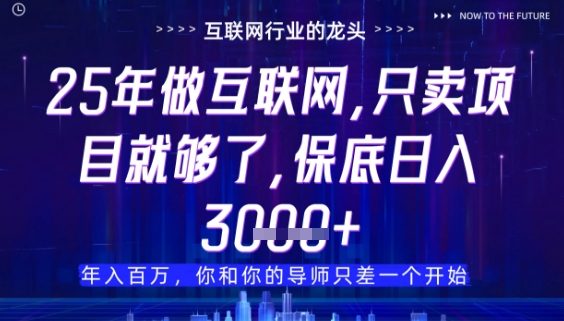 什么！25年你还在找项目做？风口早就变了，卖项目才是稳挣不赔【揭秘】