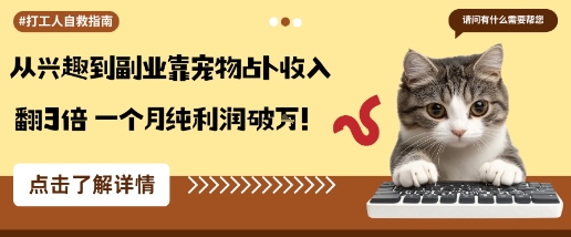 从兴趣到副业靠宠物占卜收入翻3倍一个月纯利润破W