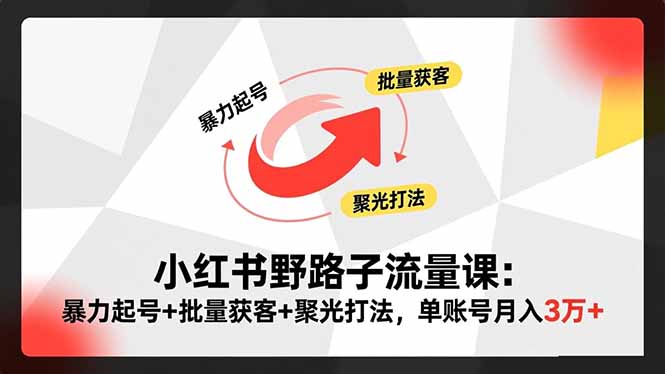 小红书野路子流量课：暴力起号+批量获客+聚光打法，单账号月入3万+