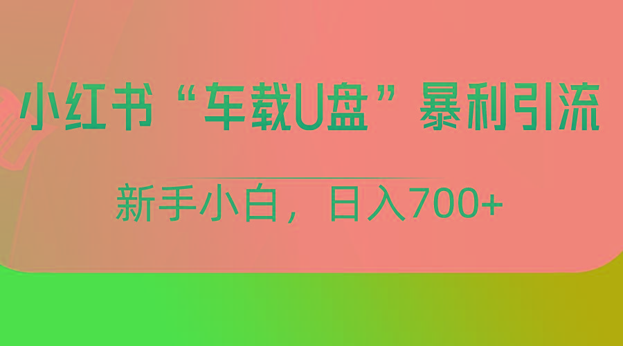 小红书“车载U盘”项目，暴利引流，新手小白轻松日入700+