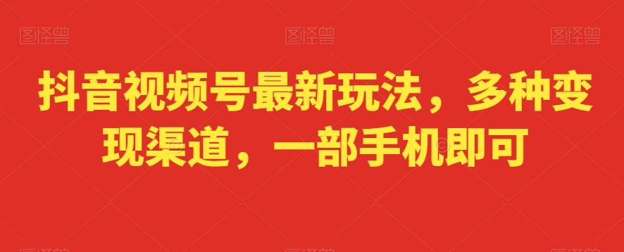 抖音视频号最新玩法,多种变现渠道,一部手机即可