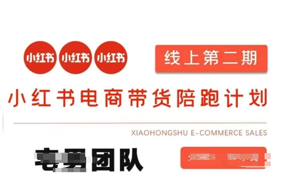 小红书电商带货课2期，月利润20个的小红书电商的有货源，无货源，虚拟产品，付费投流等整套玩法