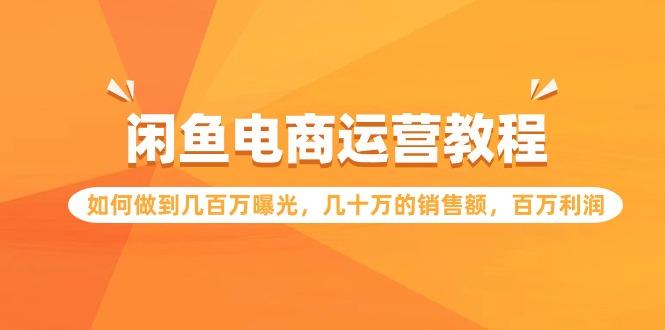 (9560期)闲鱼电商运营教程：如何做到几百万曝光，几十万的销售额，百万利润
